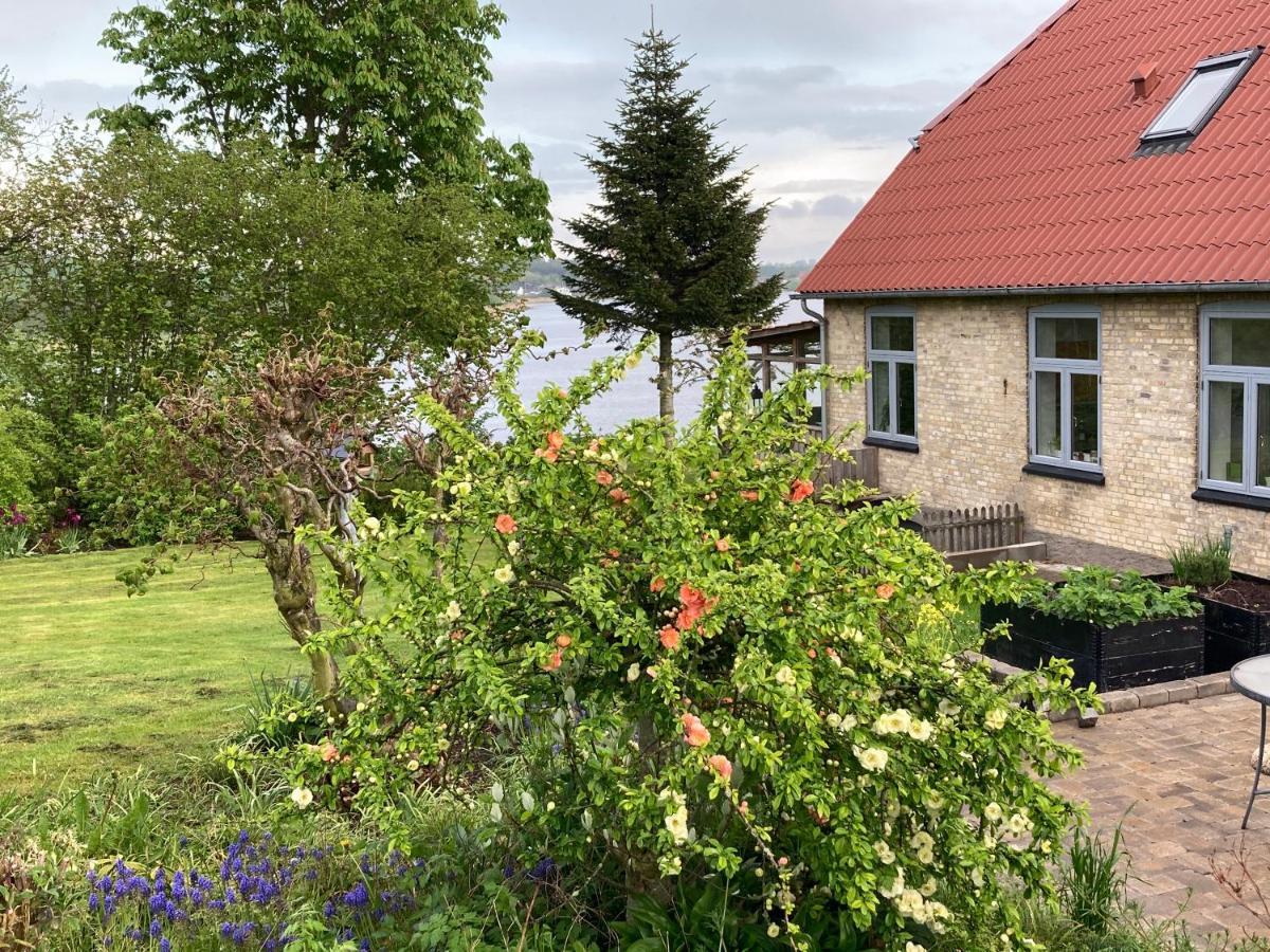 Bogebjerggard Bed & Breakfast Sønderborg Exterior foto